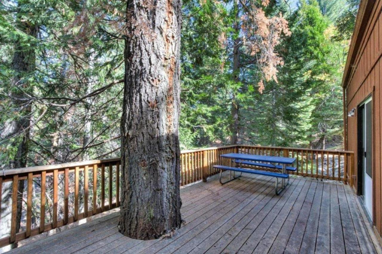 Forest Glen Yosemite West Zewnętrze zdjęcie