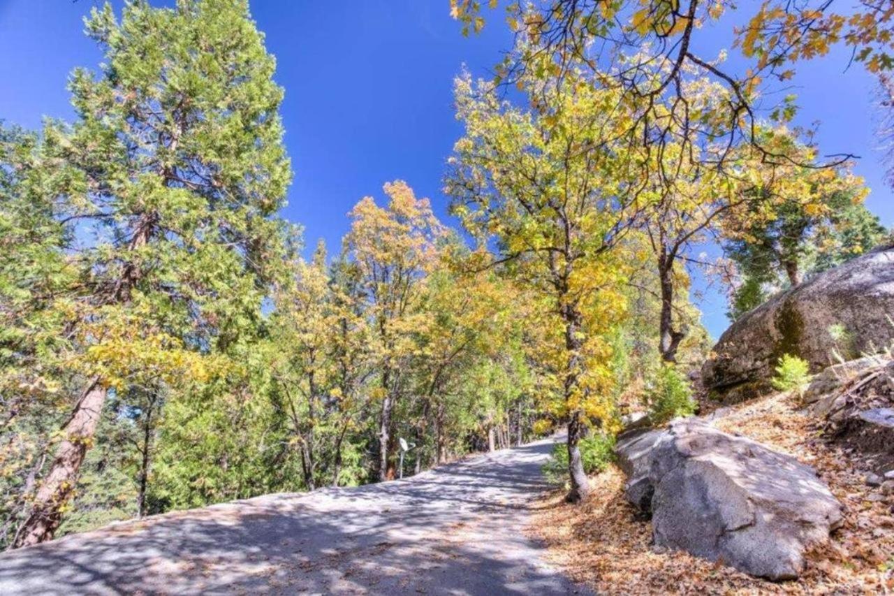 Forest Glen Yosemite West Zewnętrze zdjęcie